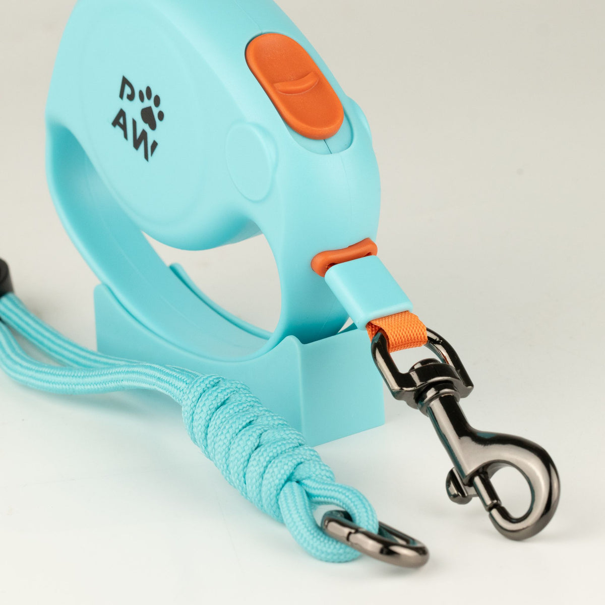 Correa Elephant